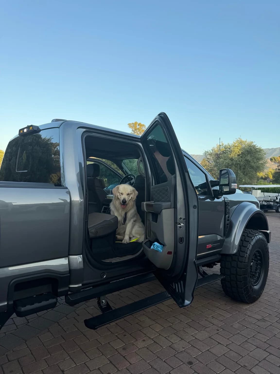 A dog sitting in the open cab of a grey Truman truck